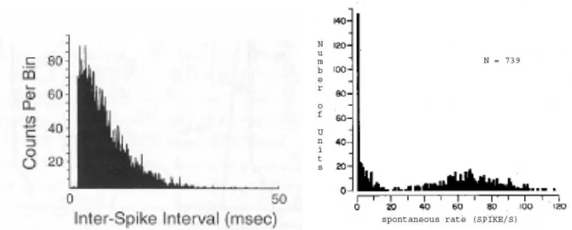 Fig. 2.6 – Caract´eristiques de l’activit´e spontan´ee des fibres nerveuses auditives.