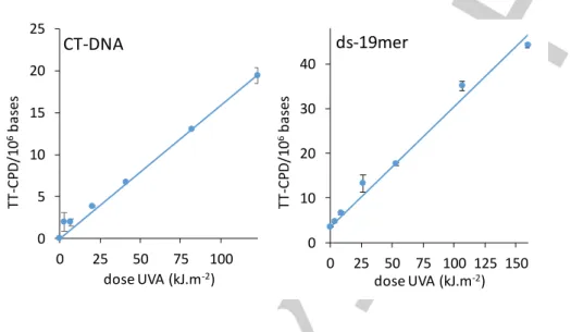 Figure S1: Formation of TT-CPD in CT-DNA and double stranded 19-mer oligonucleotide exposed to UVA