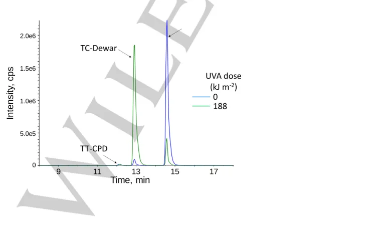 Figure S3: HPLC-MS/MS chromatograms obtained upon analysis of solutions of T(64)CTTA collected either before  or  after  exposure  to  UVA  radiation  (188  kJ  m -2 )