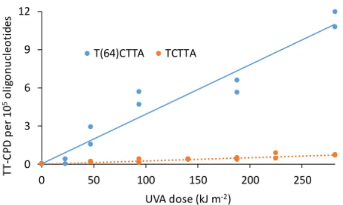 Figure 6: Formation of TT CPD in the 5 mer oligonucleotide TCTTA used either  unmodified or after conversion of the 5’-end TC doublet into its 64PP.