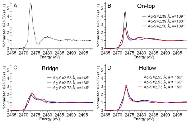 Figure 4. Ab initio simulation of S K-edge XANES spectra of a thiolate function grafted on  Ag(111) surface