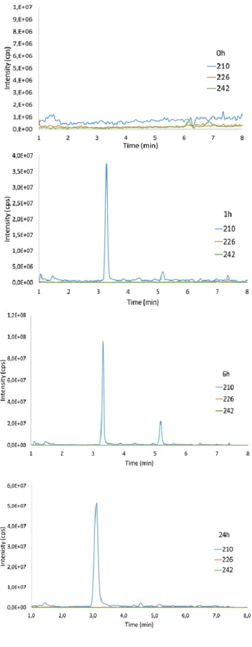 Figure S3: UHPLC chromatograms recorded in the product ion scan mode corresponding to the  detection of Cys-CEES (210 m/z), Cys-CEES sulfoxide (226 m/z), Cys-CEES sulfone (242 m/z) in culture  medium from skin exposed to 0.40 µmol of CEES during 0h, 1h, 6h