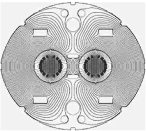 Fig. 2.  Structure du champ magnétique à l’intérieur des aimants (plan de coupe).
