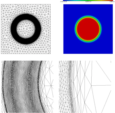 Figure 7: Circular layer test case: an adapted mesh and the corresponding numerical solution u h 