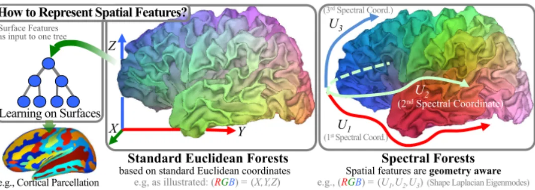 Fig. 1. Algorithm Overview – Whereas Standard Forests (RF) rely on spatial features derived from Euclidean coordinates (x,y,z), Spectral Forests (SF) build geometry-aware features using spectral coordinates ( U 1 ..k )