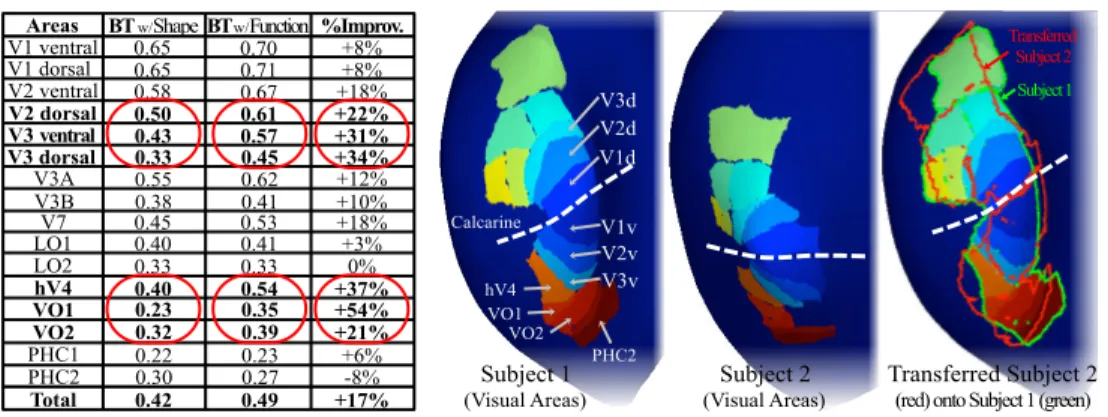 Fig. 9. Accuracy of Retinotopy Alignment – Average Dice Index across 72 alignments of 16 visual areas, using Brain Transfer (BT) with pure Shape Features (sulcal depth), with average Dice: 0.42, and Functional Features (polar and eccentricity maps, with fo