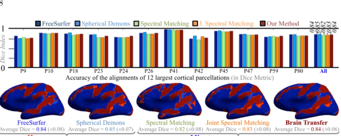 Fig. 7. Accuracy of Shape Alignment – Top: Average Dice Index across 240 alignments of cortical parcellations, using FreeSurfer (dark blue, Dice: 0.84), Spherical Demons (light blue, Dice: 0.85), Spectral Matching (light green, Dice: 0.82), Joint Spectral 