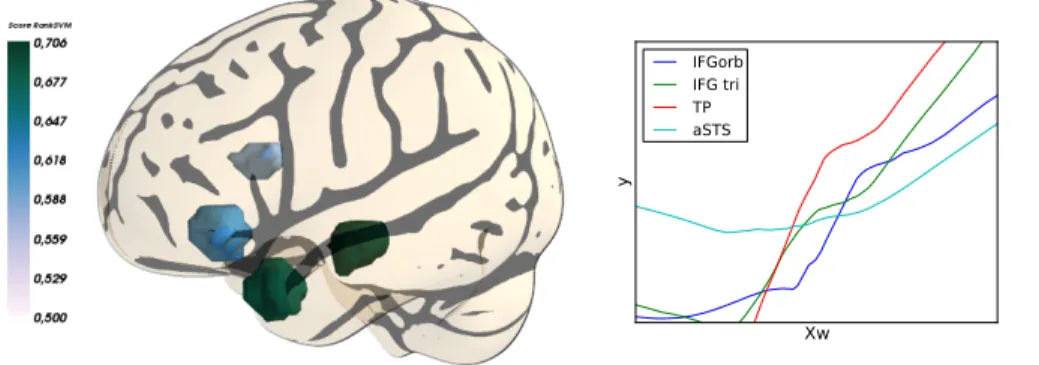 Fig. 2. a) Scores obtained with the Ranking SVM on the 4 different ROIs. The regions with the best predictive power are the temporal pole the anterior superior temporal sulcus