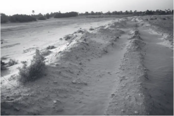 Fig. 12.5: Dégagement superficiel de la ligne de digue d’origine midrāride protégeant la ville  de Sijilmāsa de l’oued Zīz (à gauche) réalisé par Lahcen Taouchikht en 1990 (cliché archives du  MAPS – 1992)
