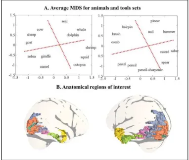 Figure  1  (a)  Behavioural  results:  the  cognitive  semantic  space  of  the  subjects as depicted by the average MDS across their judgments
