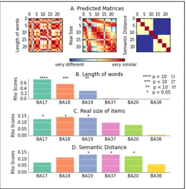 Figure 3 RSA results: (a) predicted matrices illustrating the three  dimensions (perceptual, perceptual-conceptual, and conceptual), (b) effects of  length  of  words,  (c)  real  size  of  items  and  (d)  semantic  distance  between  concepts