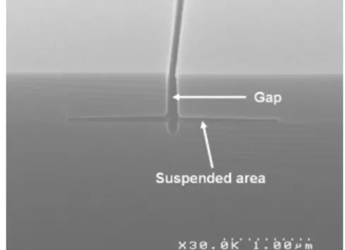 Figure  11  gives  an  idea  of  the  precision  of  technological gap definition after etching