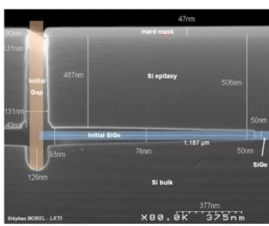 Figure 14 : Cross section view of a released tunnel 