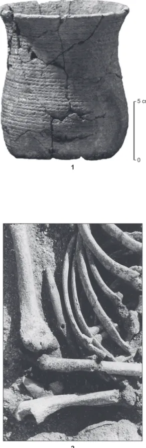 Fig. 18 — Ciry-Salsogne (Aisne). 1, le vase, sans le fond (cliche´ S. Oboukhoff, CNRS) ; 2, de´tail de l’emplacement du mobilier : un e´clat brut en silex se trouve sous le coude droit