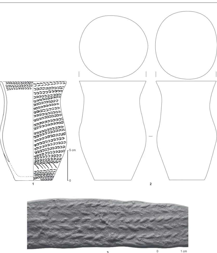 Fig. 19 — Ciry-Salsogne (Aisne). 1, vase repre´sente´ dans sa plus grande largeur ; 2, profil et ouverture du gobelet, repre´sente´s sur deux faces oppose´es ; 3, empreinte du de´cor a` la cordelette (dessins et cliche´ L