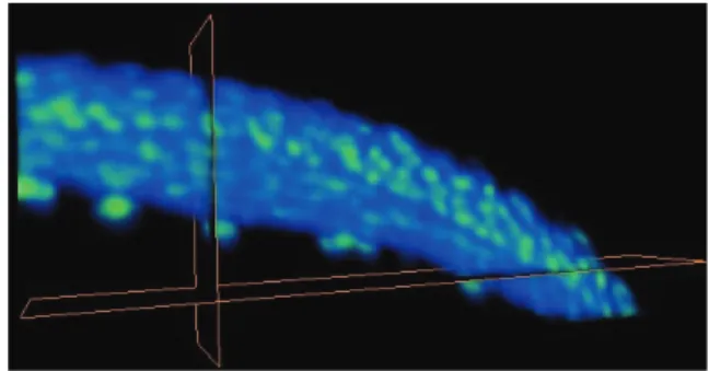 Fig. 4. Each 4D regional maximum is labeled as a trajectory.