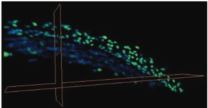 Fig. 7. Filtered data where noise has been greatly reduced keeping most part of trajectories