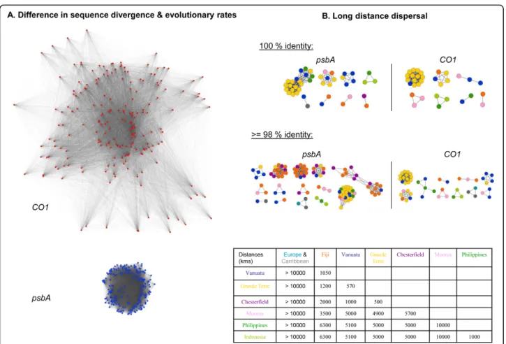 Figure 3 Gene networks of CO1 and psbA datasets. A. Sequence diversity of CO1 (in red) and psbA (in blue) datasets for the same 206 specimens represented by gene homology networks, using the same scale and the same parameters for display