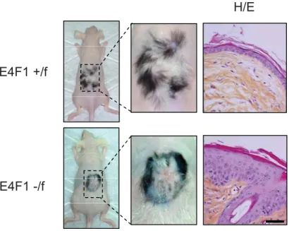 Figure S3 Lacroix et al