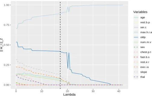 Fig. 1: Feature regularization paths for the heart data. The optimum selected λ is plotted in the vertical dotted black line