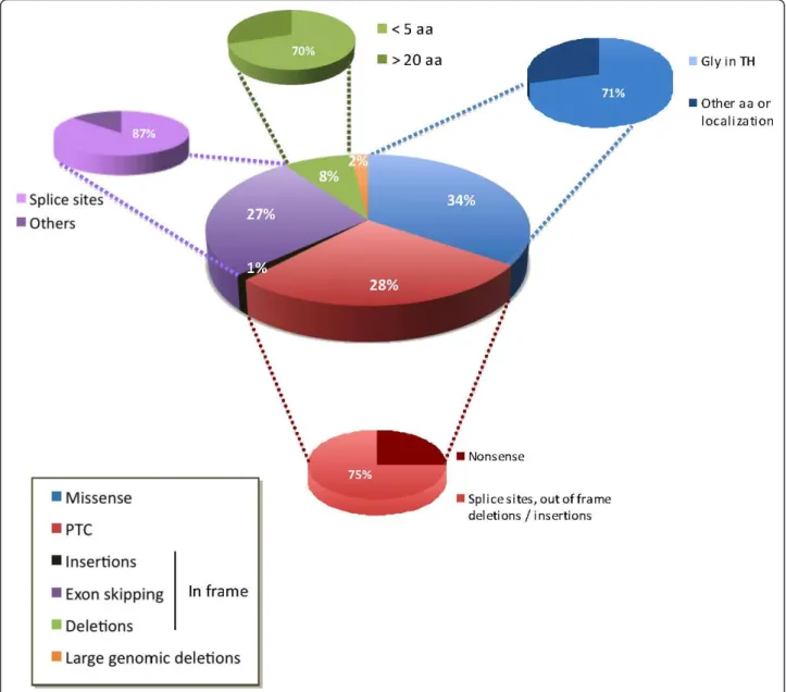 Figure 4 Repartition of the various types of mutations identified in the COL6A1, COL6A2 and COL6A3 genes