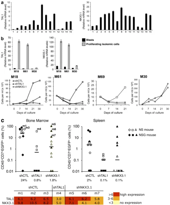 Figure 8.  NKX3.1 is expressed in human TAL1-expressing T-ALL cells and is necessary for in vitro proliferation and in vivo development of  human T-ALL