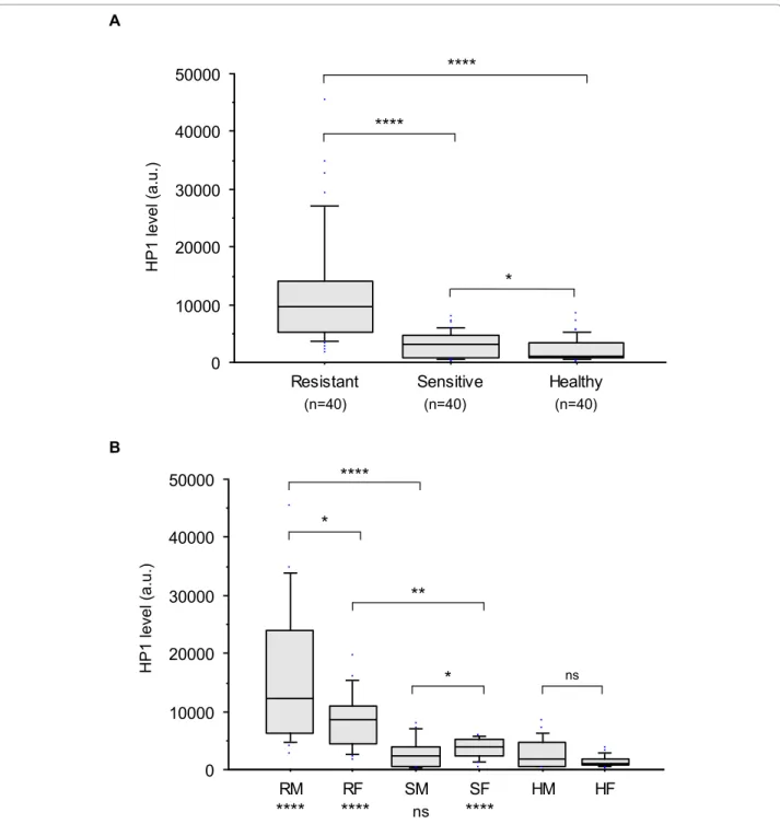 Figure 5 Comparison of HP1a levels between resistant and sensitive CLL and healthy cell samples (A) and between each subgroup according to the gender (B)