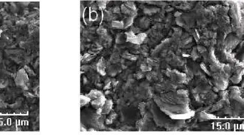 FIG. 10: SEM images of the backside non-plasma-facing surface of Tore Supra graphite tile before (a) and after (b) pre- pre-processing by LA