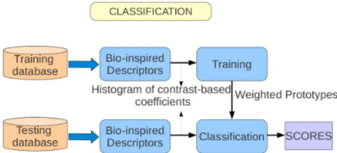 Figure 1. Block scheme of our cell classifica- classifica-tion method.