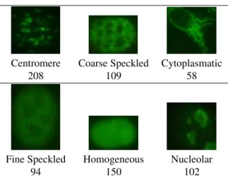 Figure 3. Sample images and the number of elements for each category in the dataset.