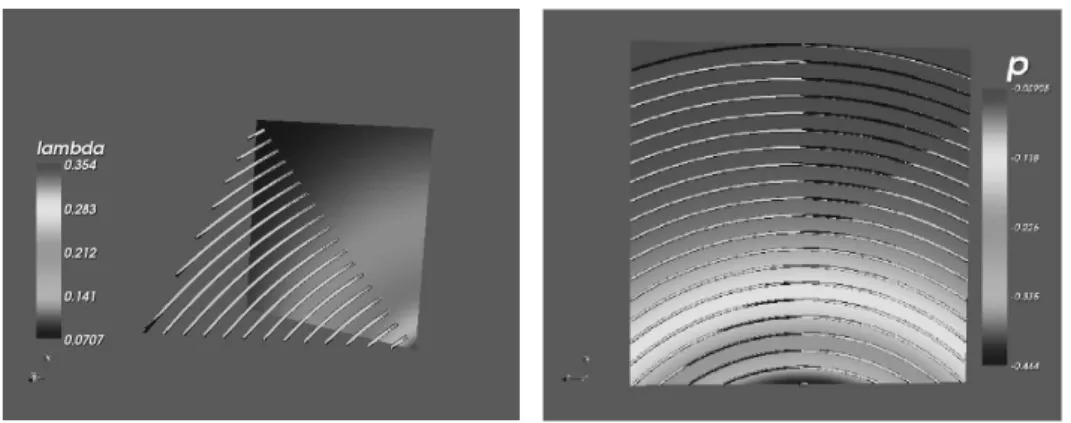 Fig. 1. Superposition of the the exact and the numerical solutions in the case of test 1 on the left and in a (x − z) plane 2D cut for the test 2 on the right.