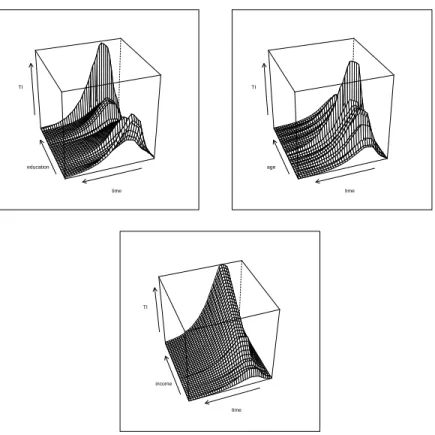 Figure 7: Information Transfer under consideration of different time lags