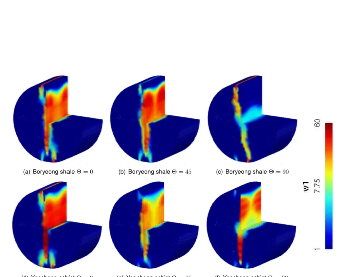 Figure 3: Horizontal damage state at the end of the Brazilian test