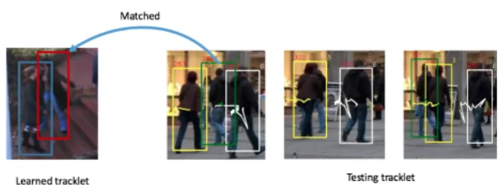 Figure 3. TUD-Stadtmitte dataset: Tracklet ID 8 represented by color ”green” matches to closest tracklet in learned dataset to  re-cover mis-detection caused by occlusion.