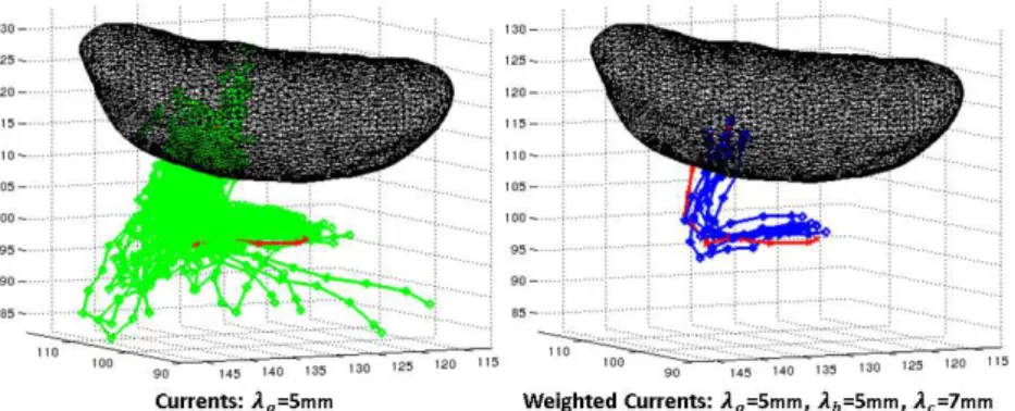 Fig. 1. Tracts that have an angle smaller than 45 degrees with the red one using currents (green, #118) and weighted currents (blue, #8)