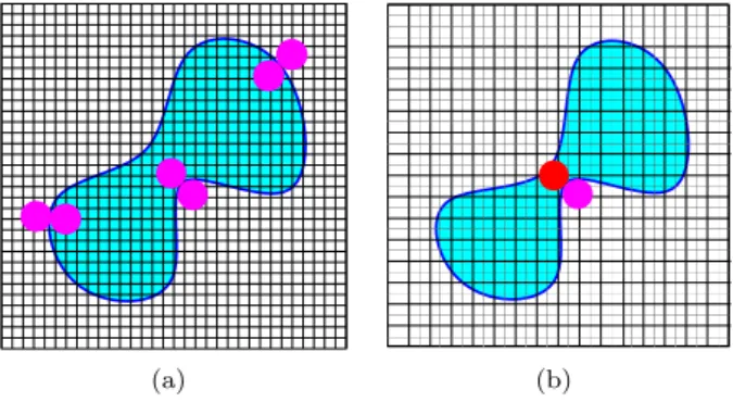 Figure 2. (a) An r-regular shape (in cyan). Some inner and outer r-radius open balls are depicted in magenta, with r higher that the pixel size of the  “topology-preserving” digitization grid