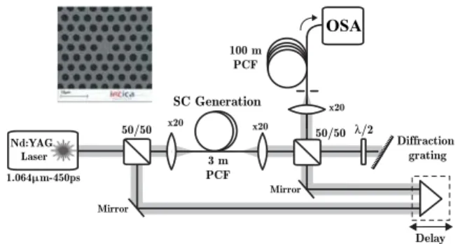 Fig. 1. Experimental setup. Inset : SEM image of the microstructured fiber.