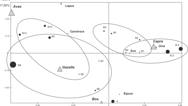 Fig. 3.1. Distribution of the frequencies of the main taxa identified at Tell Aswad (Equus, Bos, Gazella, Ovis, Capra, Sus,  Carnivores, Lepus, Birds) according to the first and second axes of the component analysis (SPAD software).