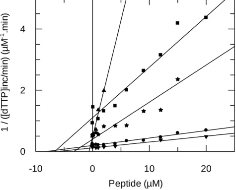 Figure 1   Peptide (µM)-10010 201 / ([dTTP]inc/min) (µM-1.min) 024