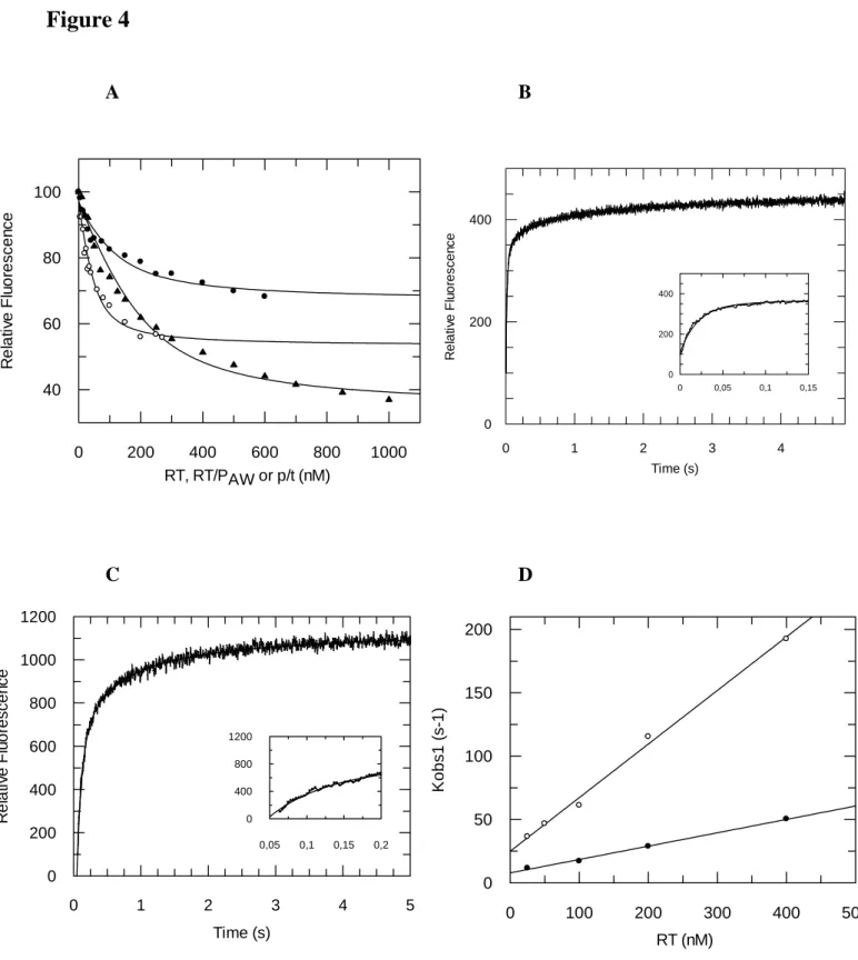 Figure 4    A  B  C  D   RT (nM)0100200 300 400 500Kobs1 (s-1)050100150200Time (s)012345Relative Fluorescence0200400600800100012000,050,10,150,204008001200Time (s)01234Relative Fluorescence020040000,050,10,150200400RT, RT/PAW or p/t (nM) 02004006008001000R