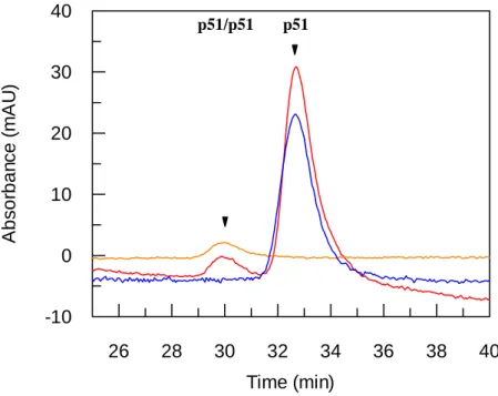 Figure 7   Time (min)26283032 34 36 38 40Absorbance (mAU)-10010203040p51/p51       p51 