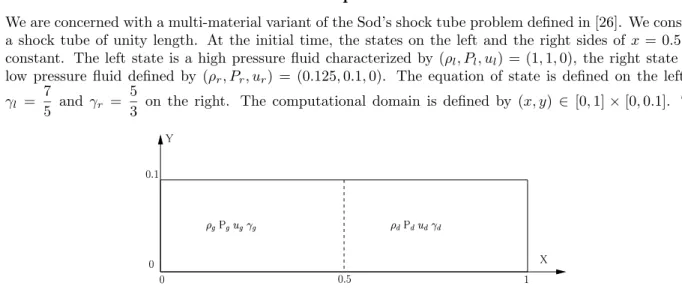 Figure 9: Initial data for the Sod shock tube test case
