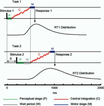 Figure 1. The Model: The Process of Accumulation of Evidence Constitutes the Mind’s Bottleneck