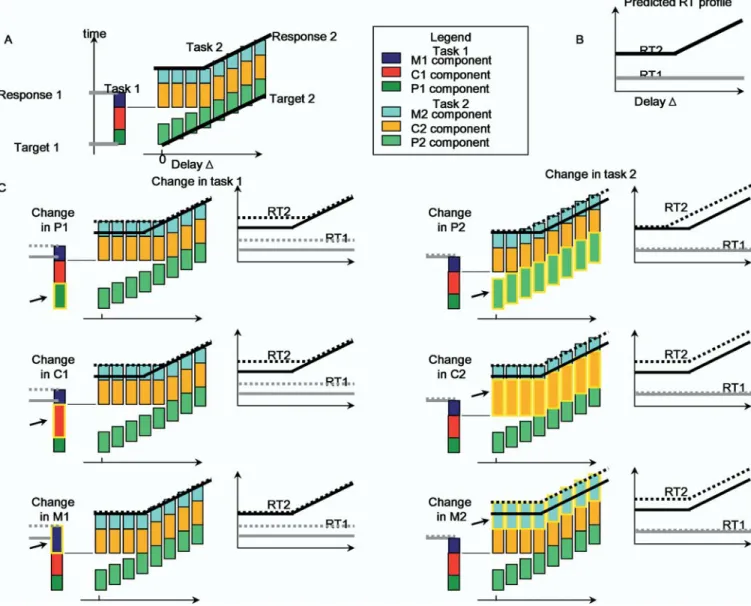 Figure 3. Description of the Task and Sketch of the PRP Model and Its Predictions