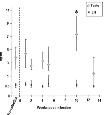 Figure 9. Testosterone and LH levels measured in macaques’