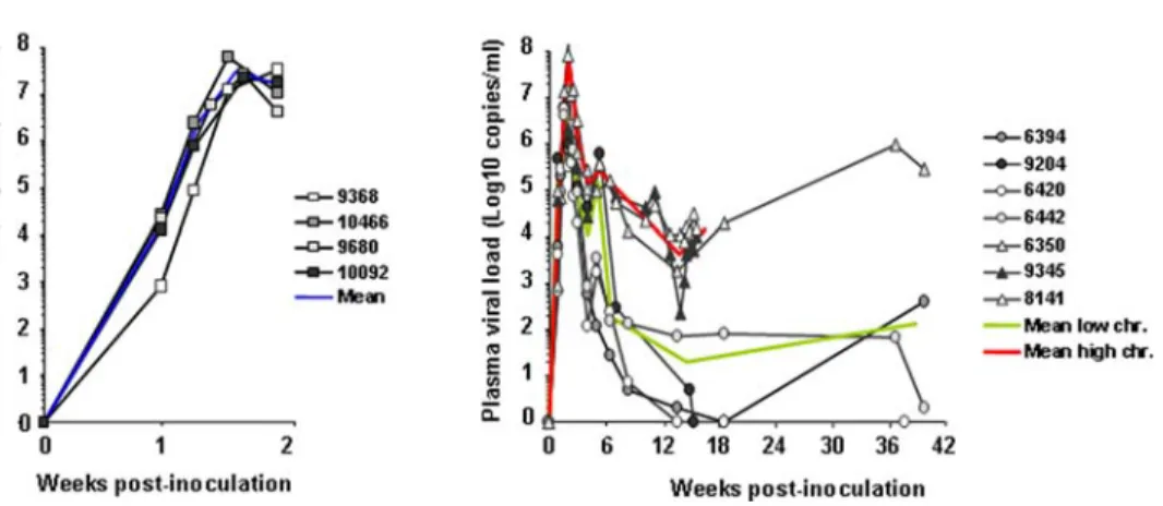 Figure 2. Blood PVLs from time of intravenous SIVmac251 inoculation to necropsy. (A) Four animals were sacrificed at 14 days p.i.; (B) Seven animals, sacrificed between 15 to 37 weeks p.i., were distinguished into one group of 3 ‘‘high chronic animals’’ (t