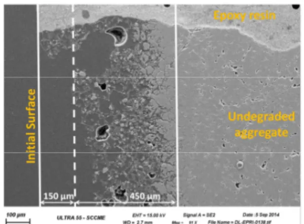 Fig. 3: SE-SEM observation of dolomitic limestone aggregates  degraded in boric acid solution
