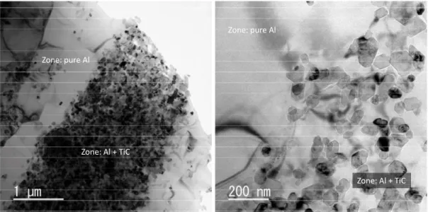 Figure 2 SEM micrographs of the Al–TiC composites after a heat treatment at 1000 °C for 20 min