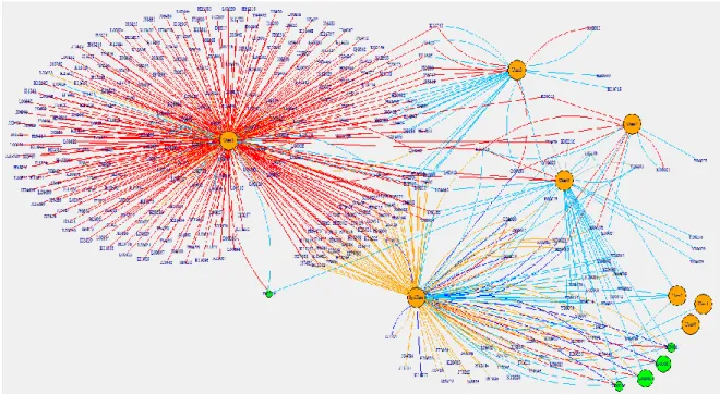 Fig. 2. Drill of the overall social network down to suppliers only related interactions 