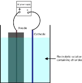 Figure 1: Set-up for accelerated corrosion by imposed current  